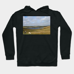 Shetland moorland Hoodie